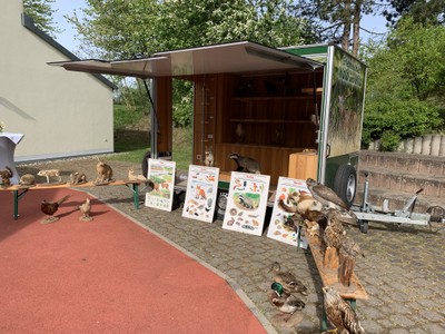 Kita Nussbäumchen Tag der offenen Tür